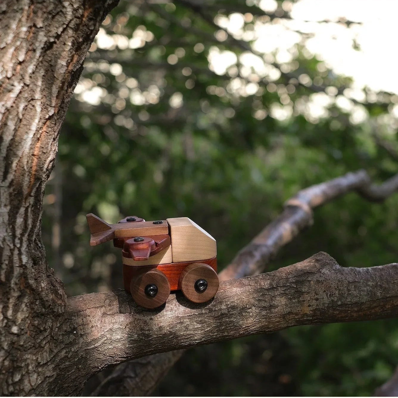 Walnut & Padauk Aeroplane balanced on a tree branch outdoors, showing maple fuselage, coral padauk wing and walnut base