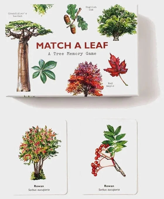 Match a Leaf Tree Memory Game box and two Rowan matched cards showing full tree and berry branch illustrations