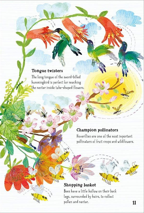 The Big Book of Blooms interior page 11 showing tongue twisters, hoverfly pollinators, and bee illustrations