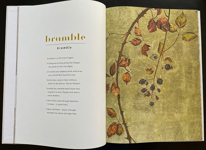 The Lost Words open book showing bramble poem with gold typography and botanical illustration of blackberry branches