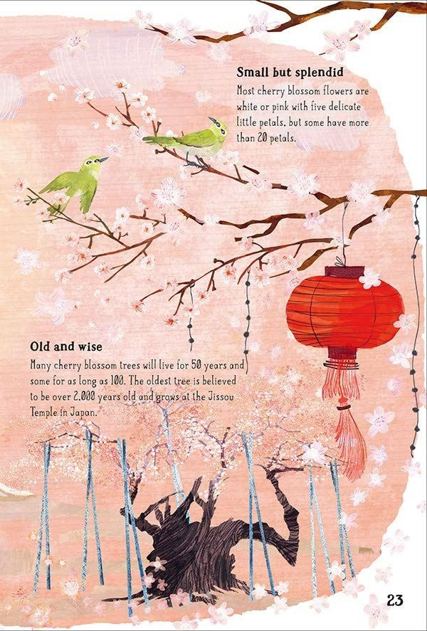 Big Book of Blooms interior spread page 23 showing cherry blossom illustrations, green birds, lantern, and educational text