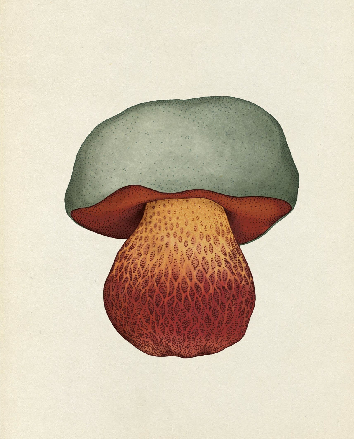 Curators Collection (fungi) (welcome to the Museum)
