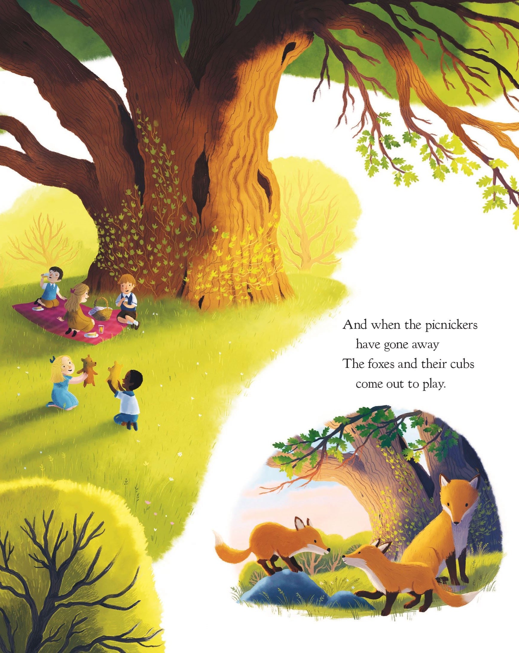The Oak Tree board book interior: children picnicking under an ancient oak, with a fox and cubs playing at its roots.