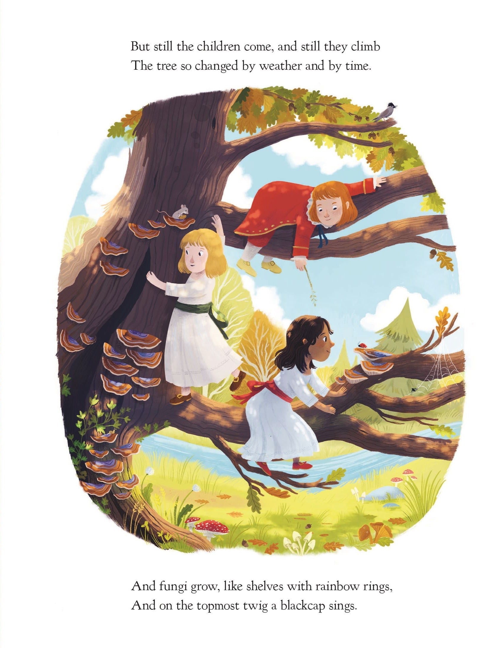 The Oak Tree book interior: illustrated spread of children climbing an ancient oak, with fungi, spider's web, and blackcap