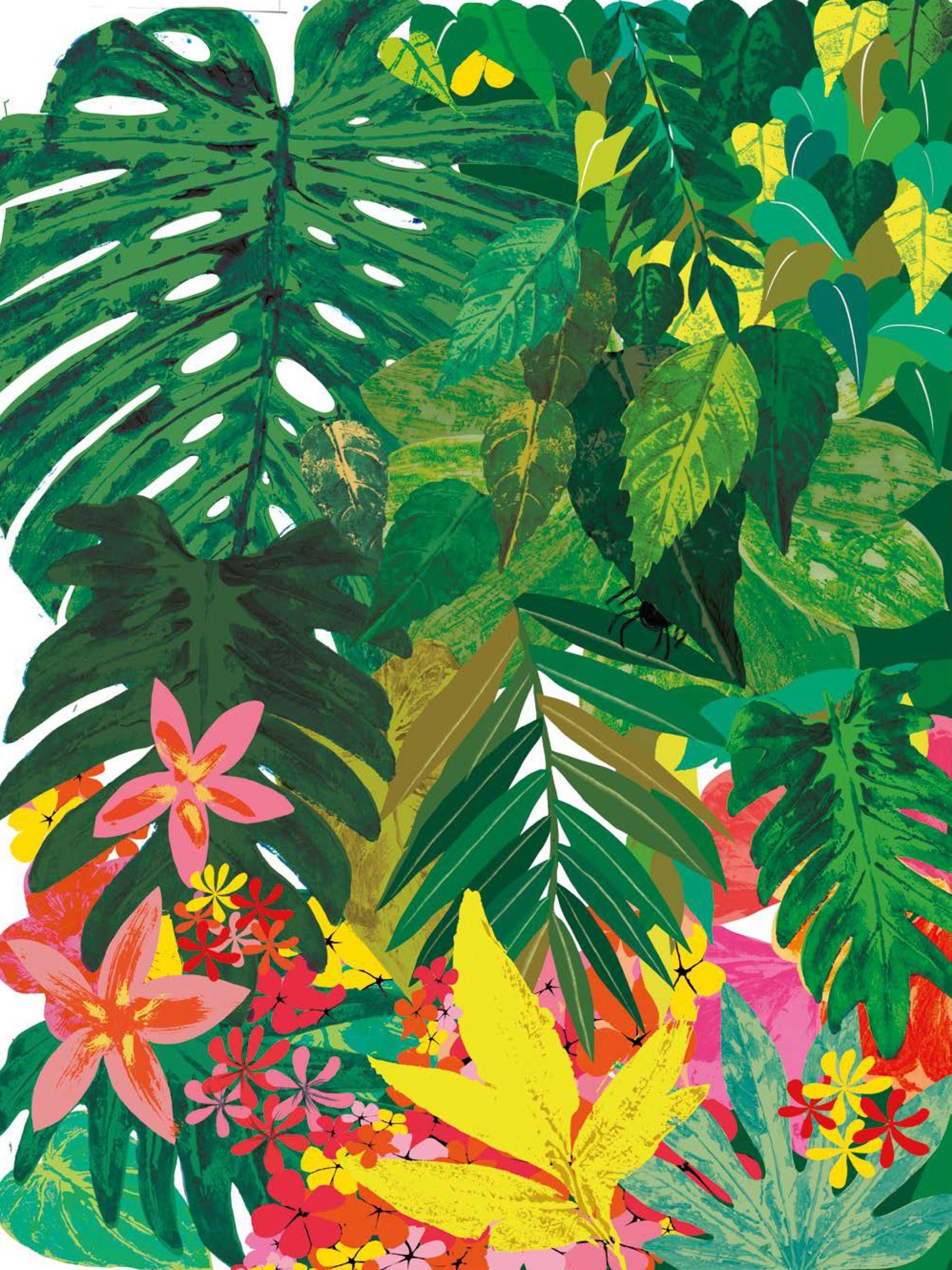 Counting Creatures book cover by Julia Donaldson, vibrant jungle illustration with tropical foliage and colourful flowers