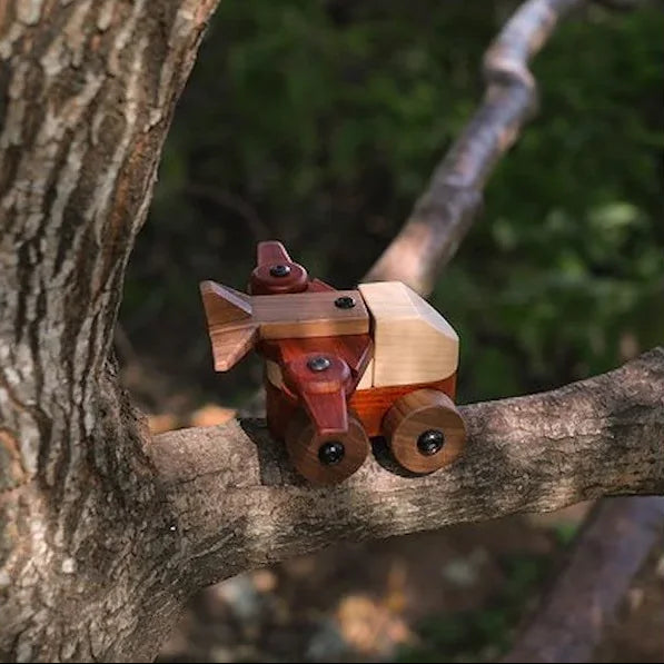 Walnut & Padauk Aeroplane toy balanced on a tree branch outdoors, showing maple fuselage, coral padauk wings, and walnut