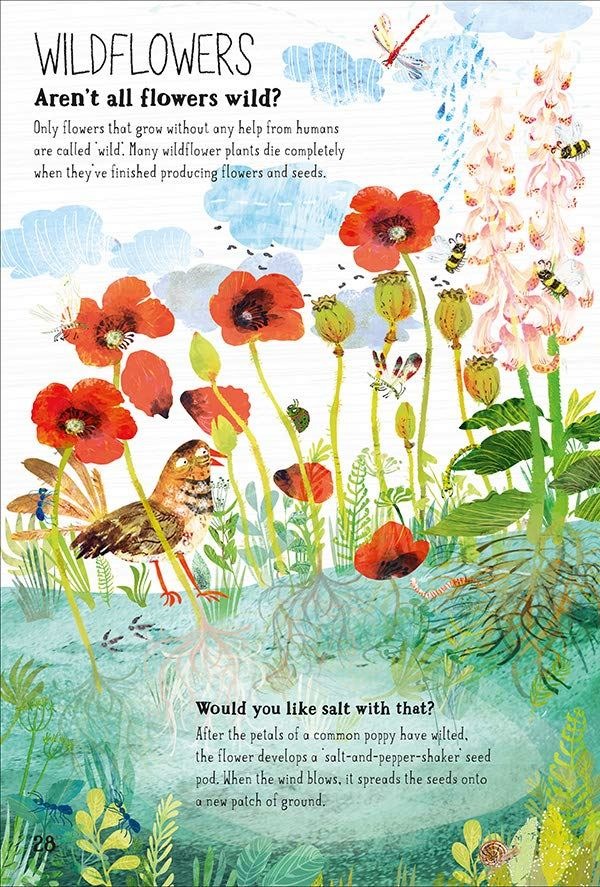 The Big Book of Blooms interior spread page 28 Wildflowers section with Yuval Zommer watercolour illustrations of poppies