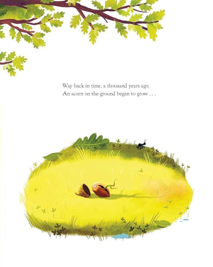 The Oak Tree board book interior page showing illustrated acorn sprouting, with text 'Way back in time, a thousand years ago'