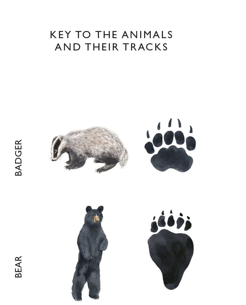 Match a Track Near You Game identification guide showing badger and black bear with their paw prints in illustrated key