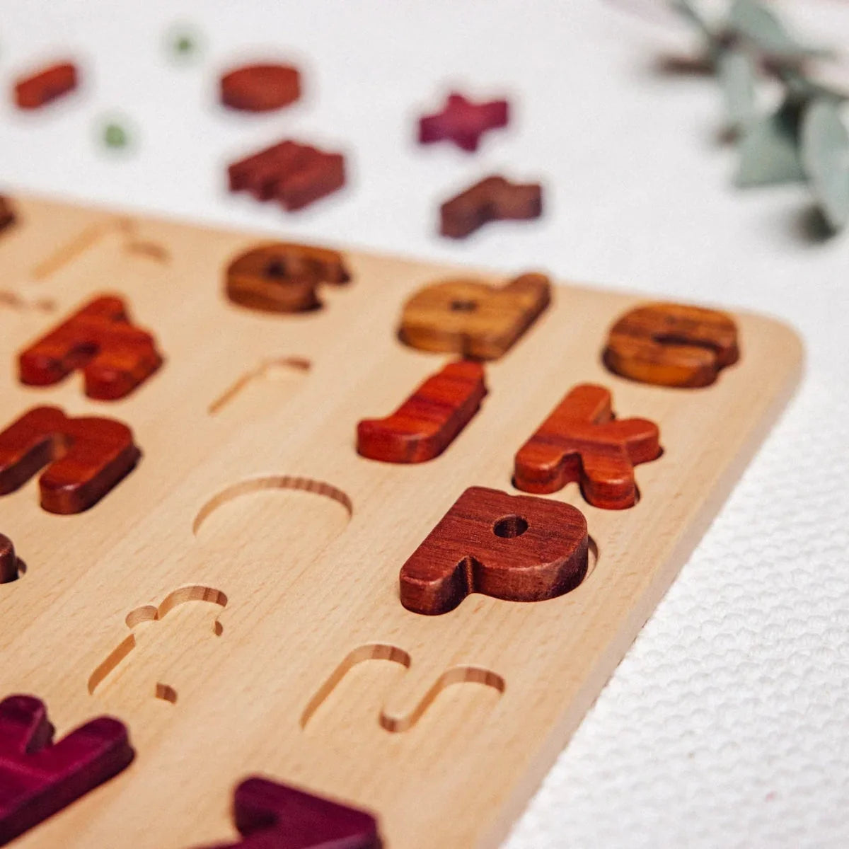 Oak & Sprout lowercase alphabet puzzle close-up, partially assembled showing Mahogany, Tigerwood and Purpleheart letter piece
