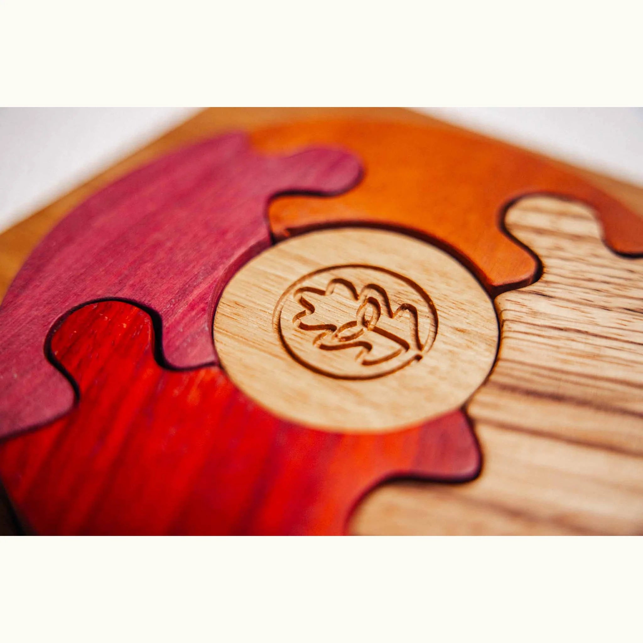 Unity Puzzle close-up showing Oak base with engraved logo, flanked by Purpleheart, Tigerwood, and Padauk segments