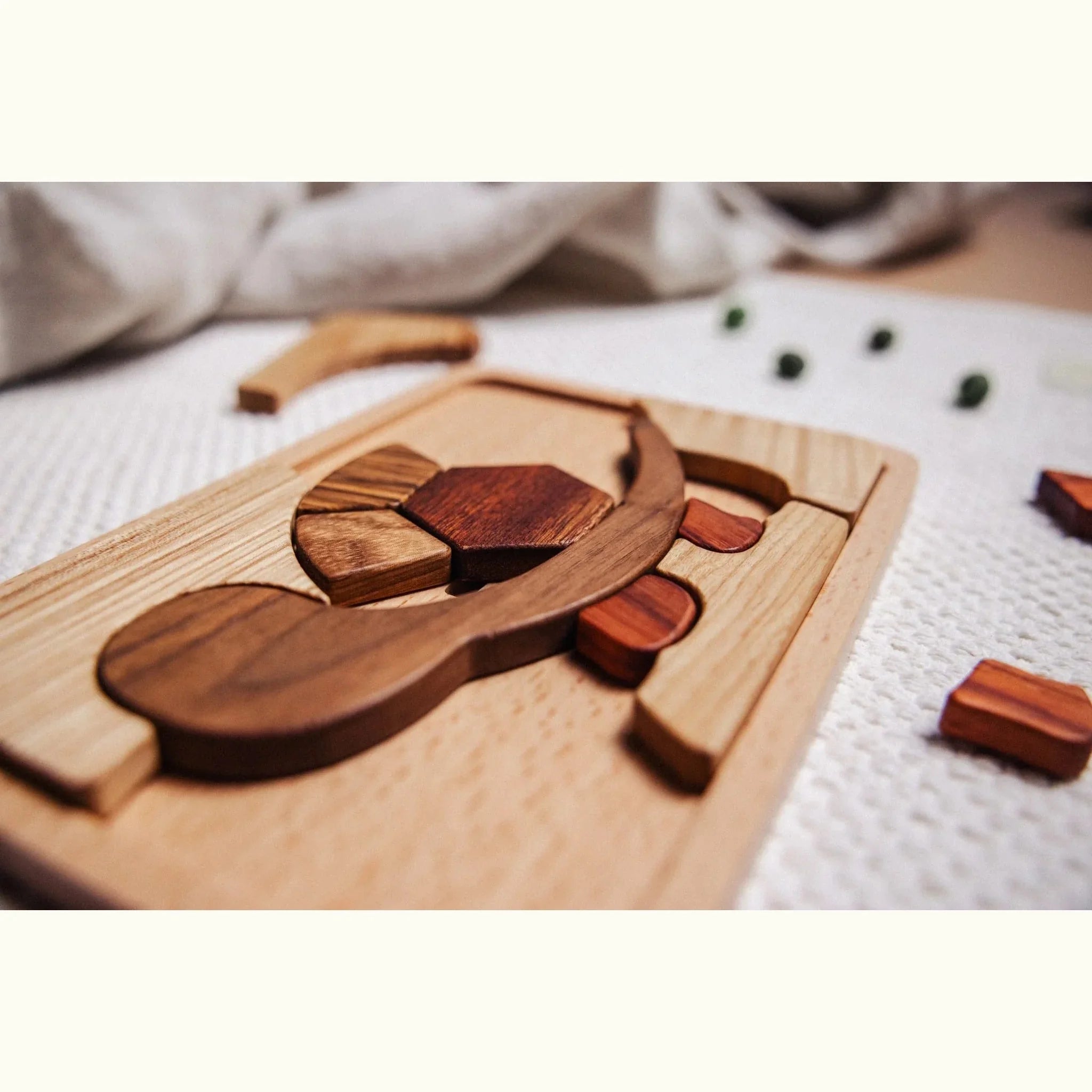 Shelly Slow turtle puzzle mid-assembly on beech tray, showing walnut head, tigerwood and mahogany shell pieces on white waffl