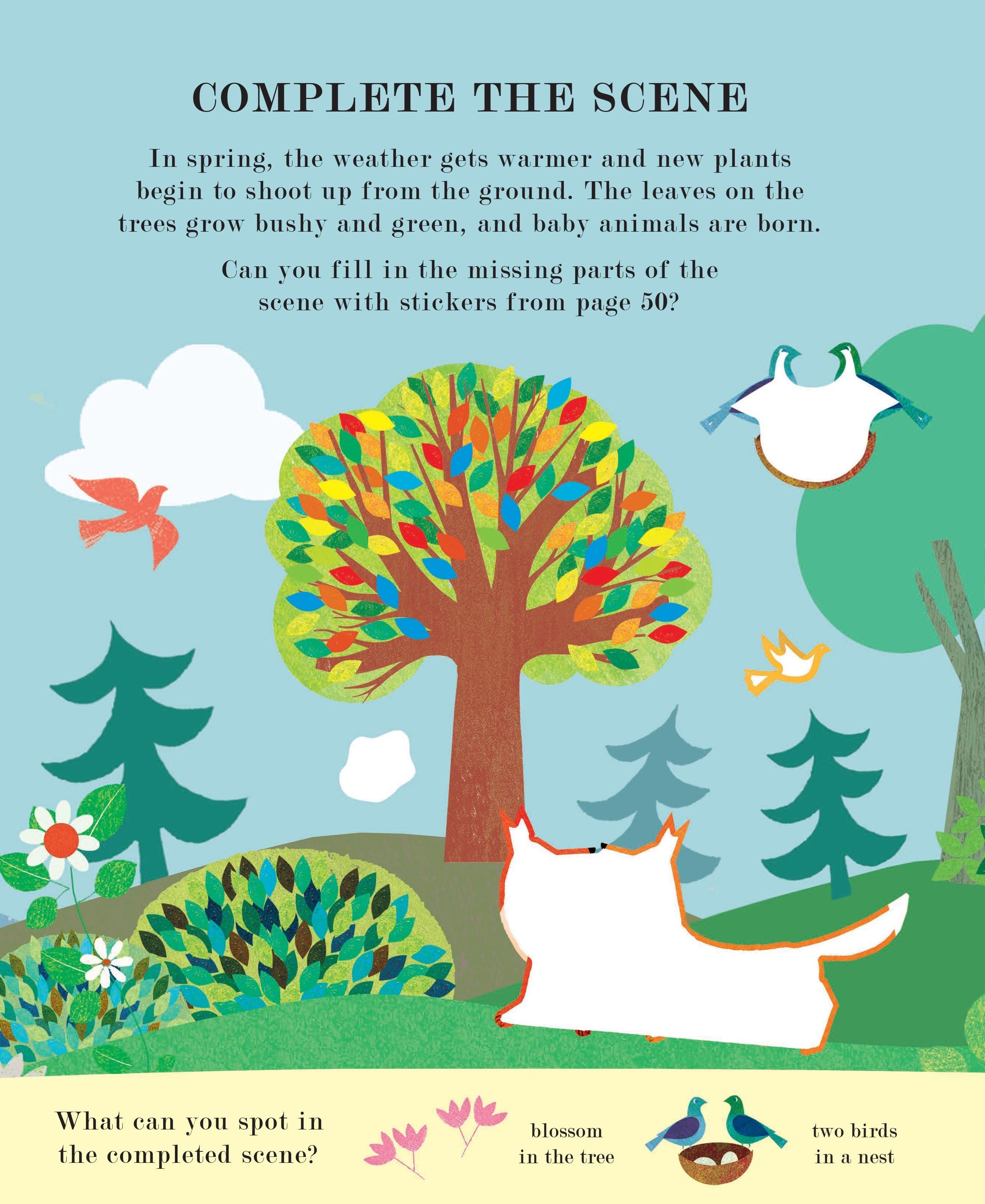 Tree: Seasons Come Seasons Go Activity Book