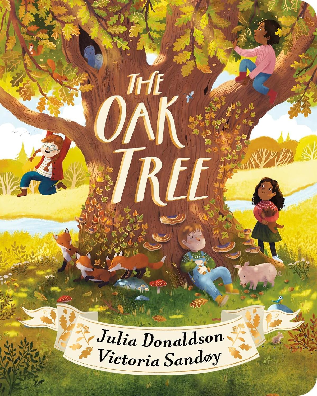 The Oak Tree board book by Julia Donaldson – front cover showing children and foxes in an autumnal oak tree scene