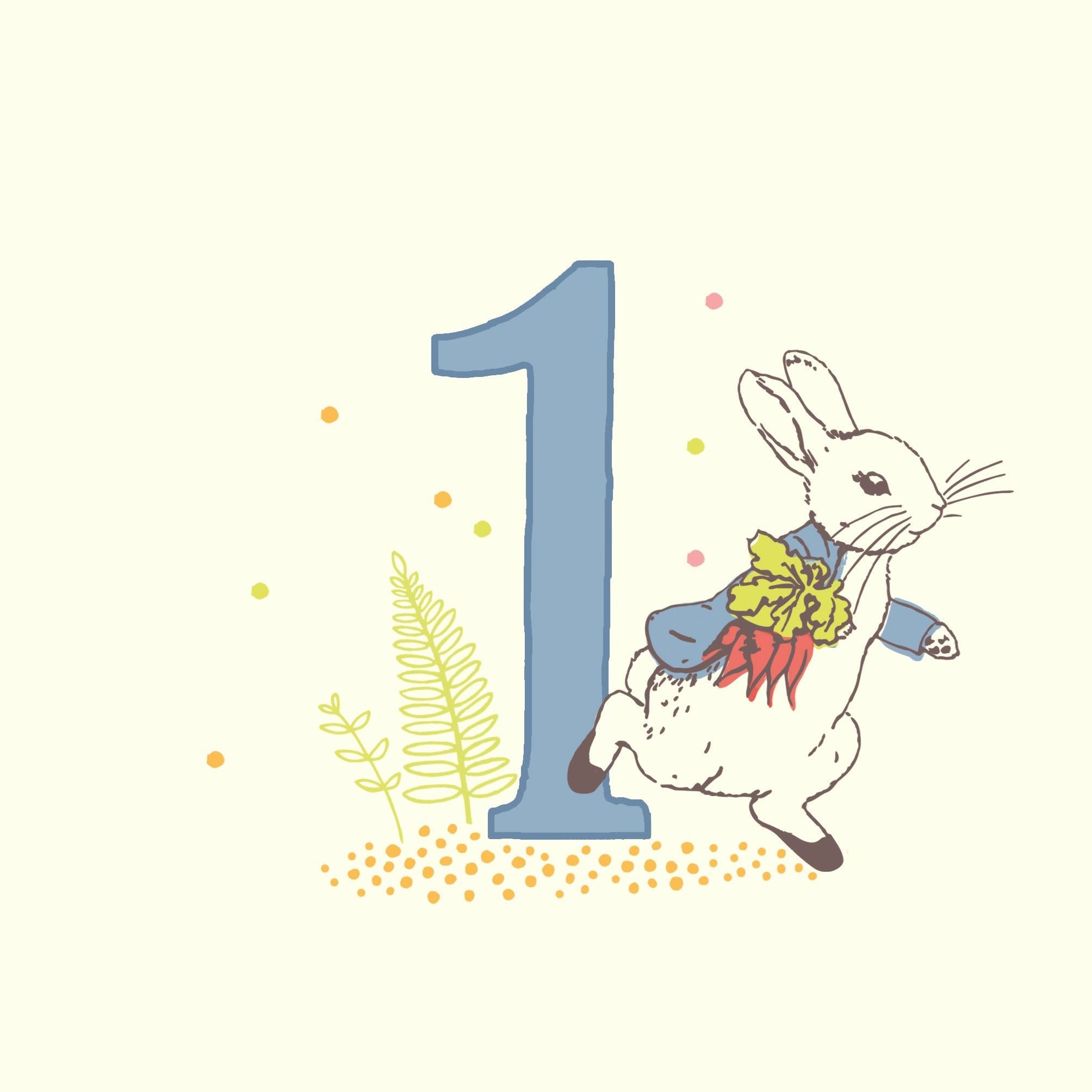 Peter Rabbit 123: a Counting Book
