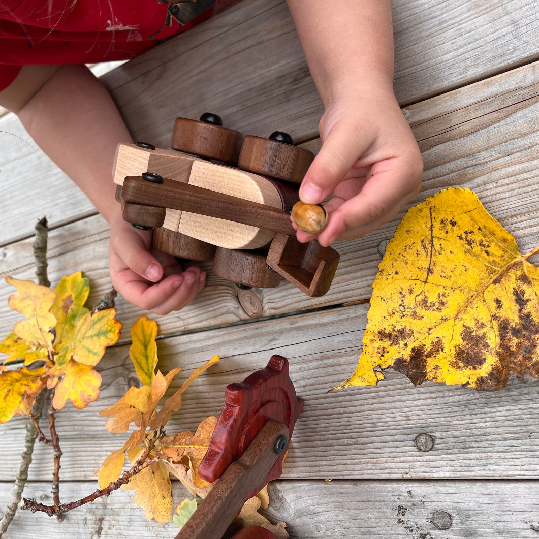 Child playing with a wooden toy on a wooden surface with autumn leaves.