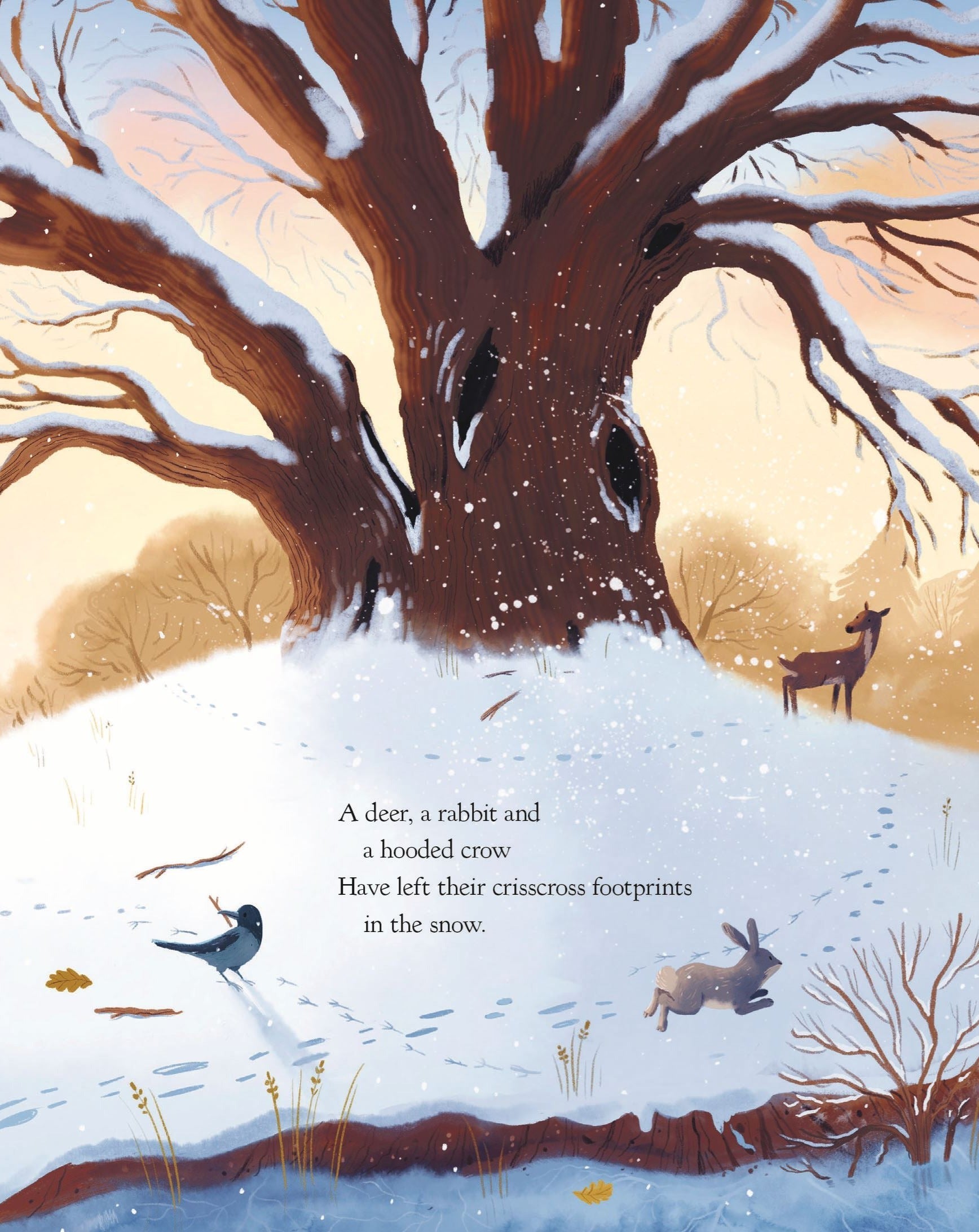 The Oak Tree board book interior: winter scene with snow-covered oak, deer, rabbit, and hooded crow leaving footprints.