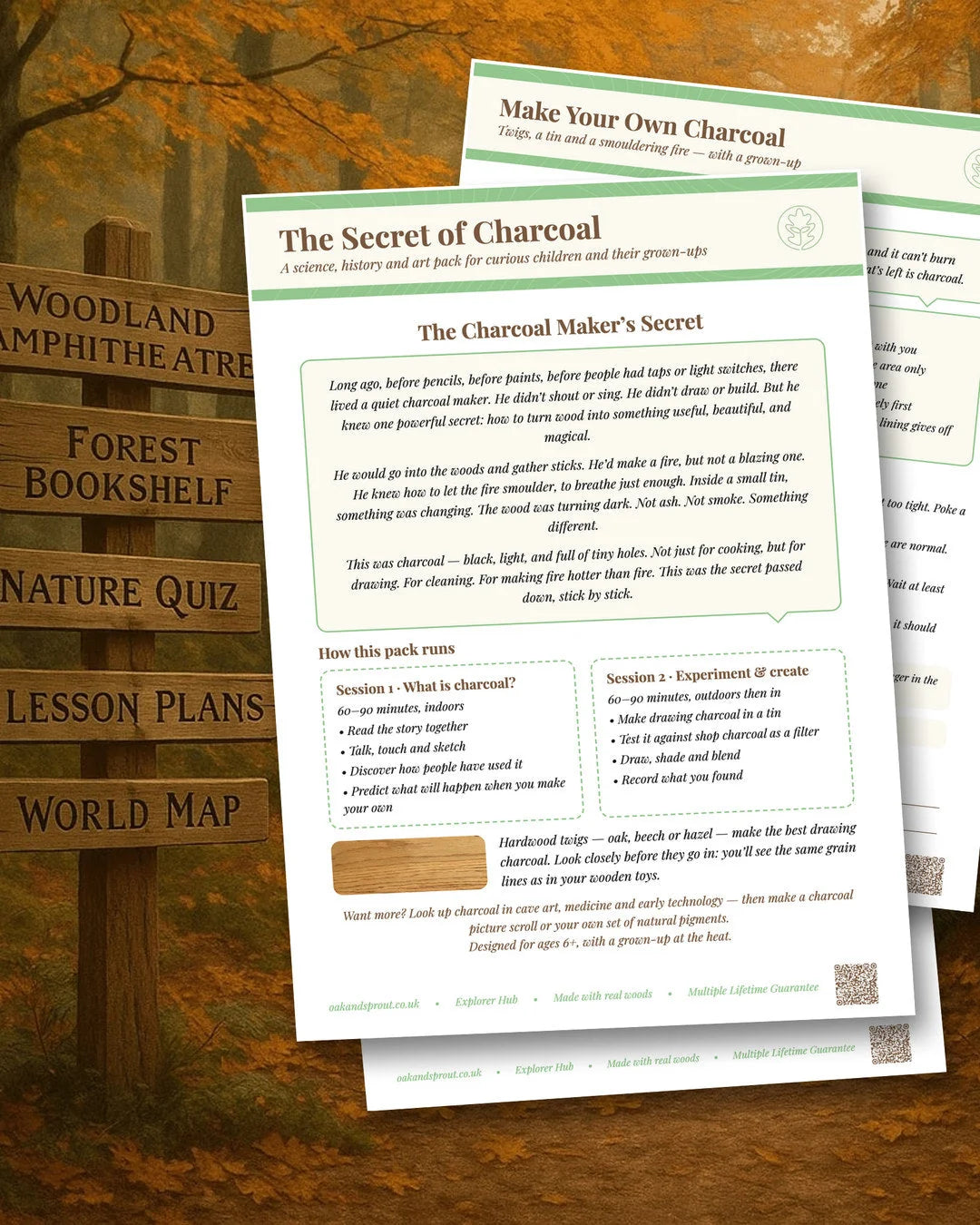 Secret of Charcoal activity sheets with tigerwood sample, woodland signpost prop, autumnal backdrop