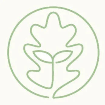 Logo of Oak & Sprout Playthings with a leaf design on a white background