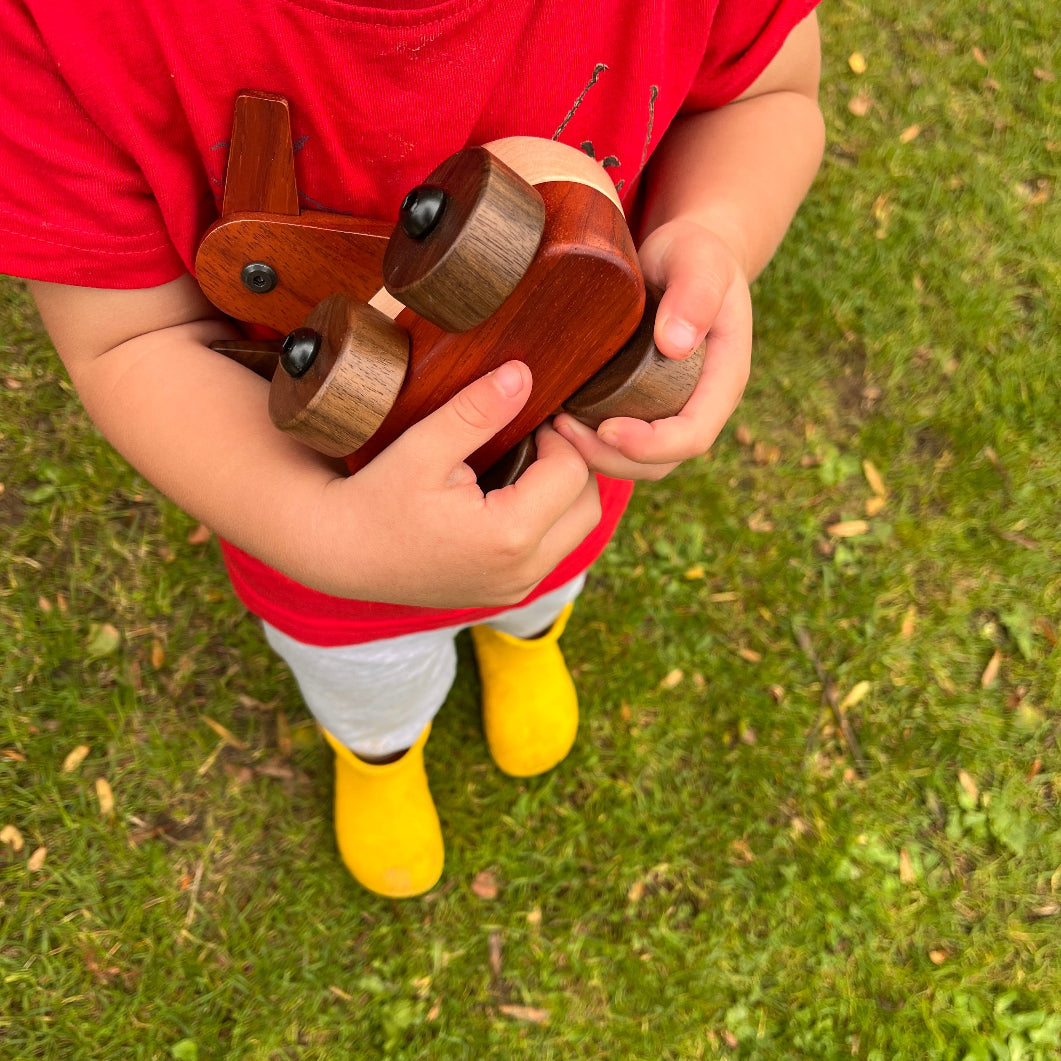 Child holding a wooden toy aeroplane outdoors on grass