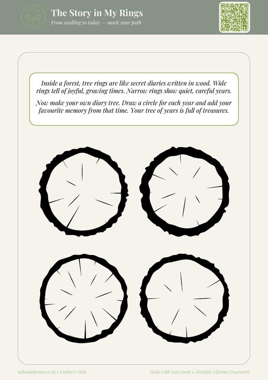 My Life In Rings!
