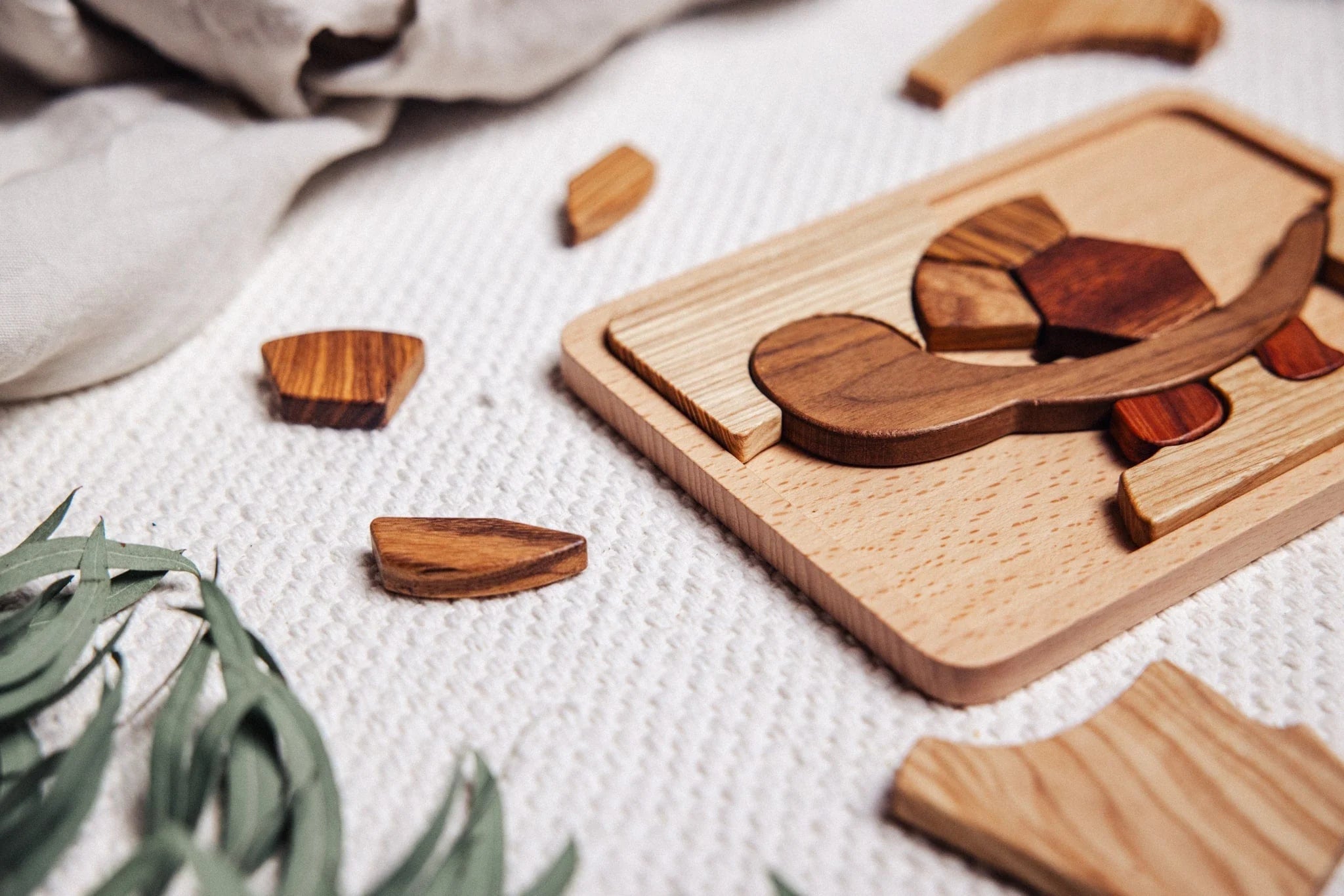 Oak & Sprout Persistence Puzzles partially assembled on white playmat, showing Walnut, Padauk and Tigerwood pieces scattered