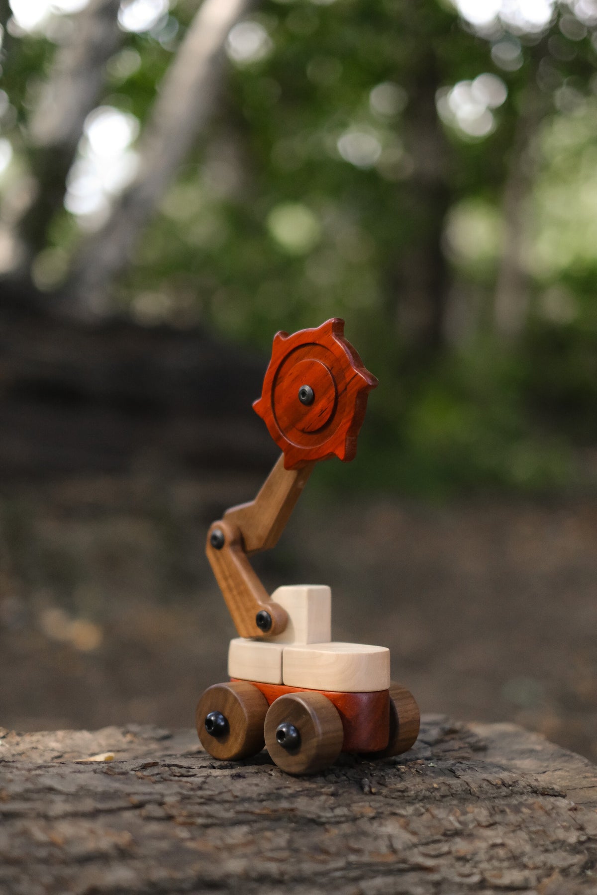 Padauk & Maple Trench Digger on a log in the woods, cutter wheel raised high
