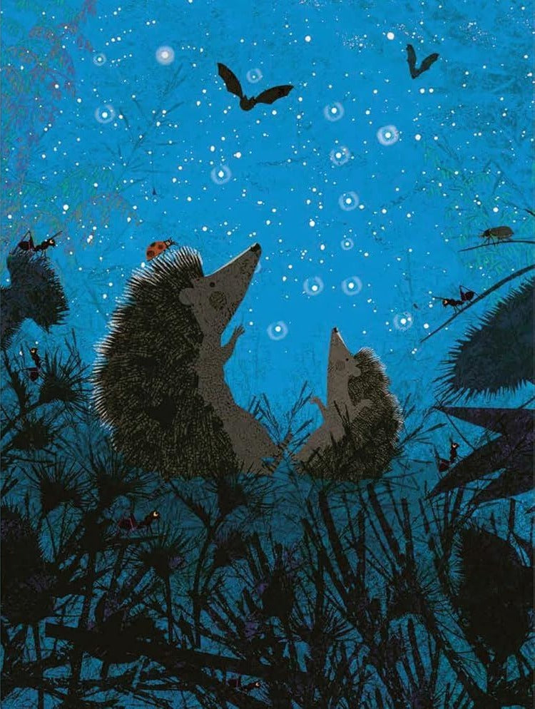 Big Hedgehog and Little Hedgehog Take an Evening Stroll