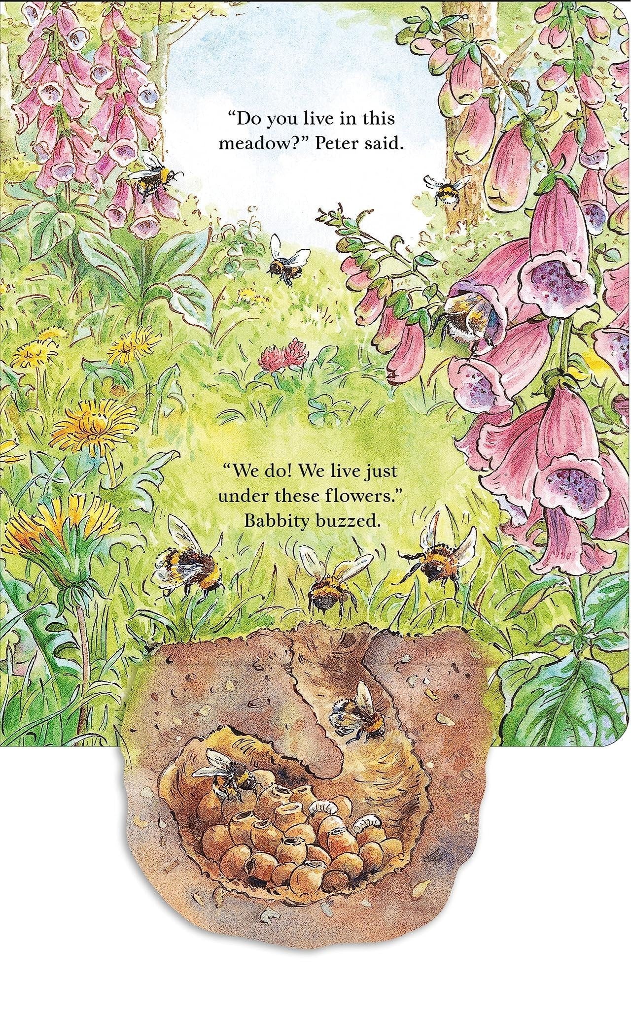 Peter Rabbit: Forest Homes a Peep Inside Tale