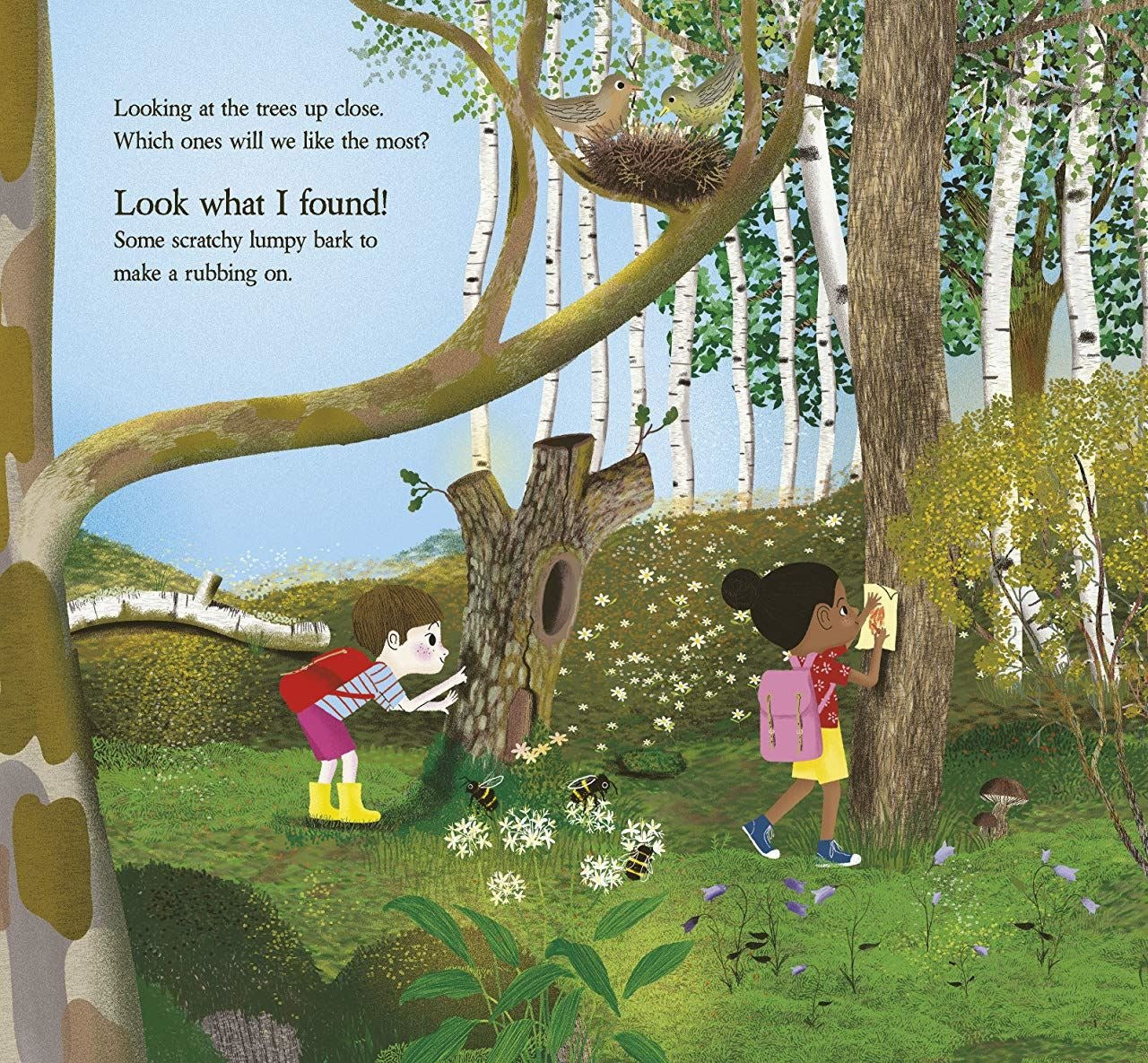 Look What I Found in the Woods interior spread: children bark rubbing and exploring a hollow tree in illustrated woodland