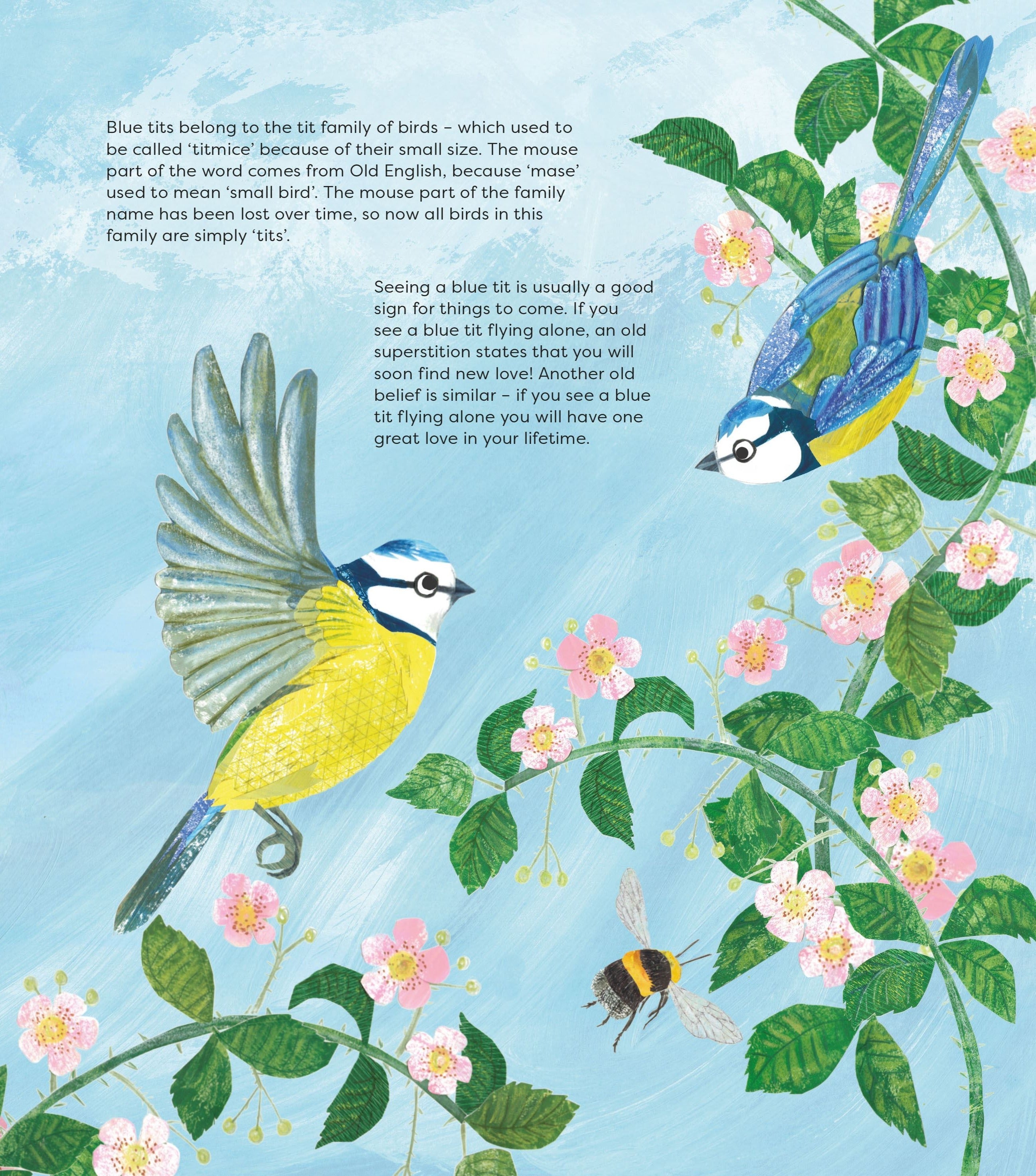 Birds of a Feather book interior spread showing illustrated blue tits in flight among bramble with a bumblebee, by Kate Read