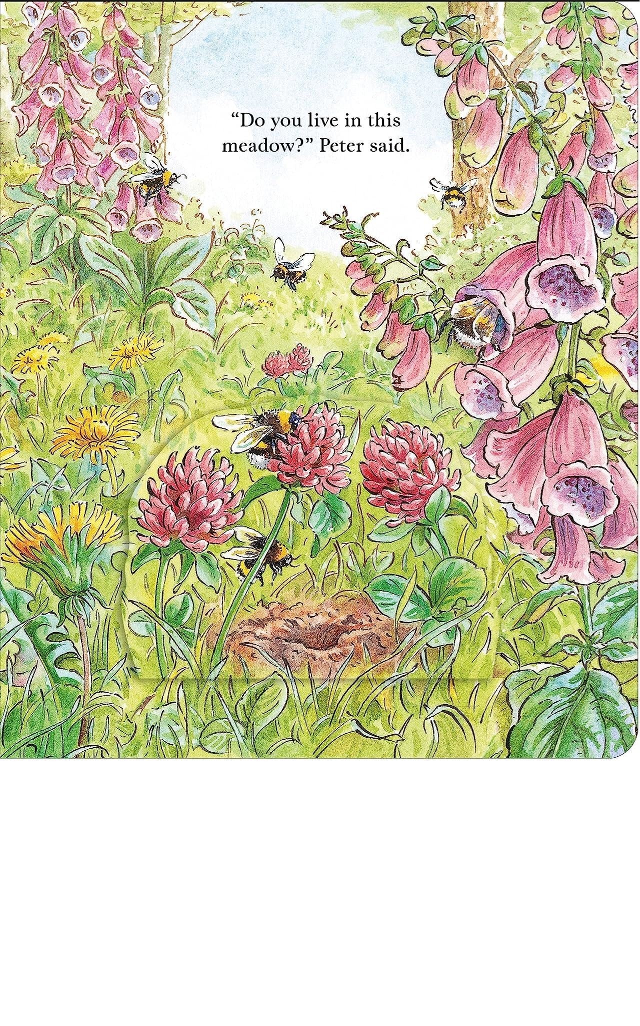 Peter Rabbit: Forest Homes a Peep Inside Tale