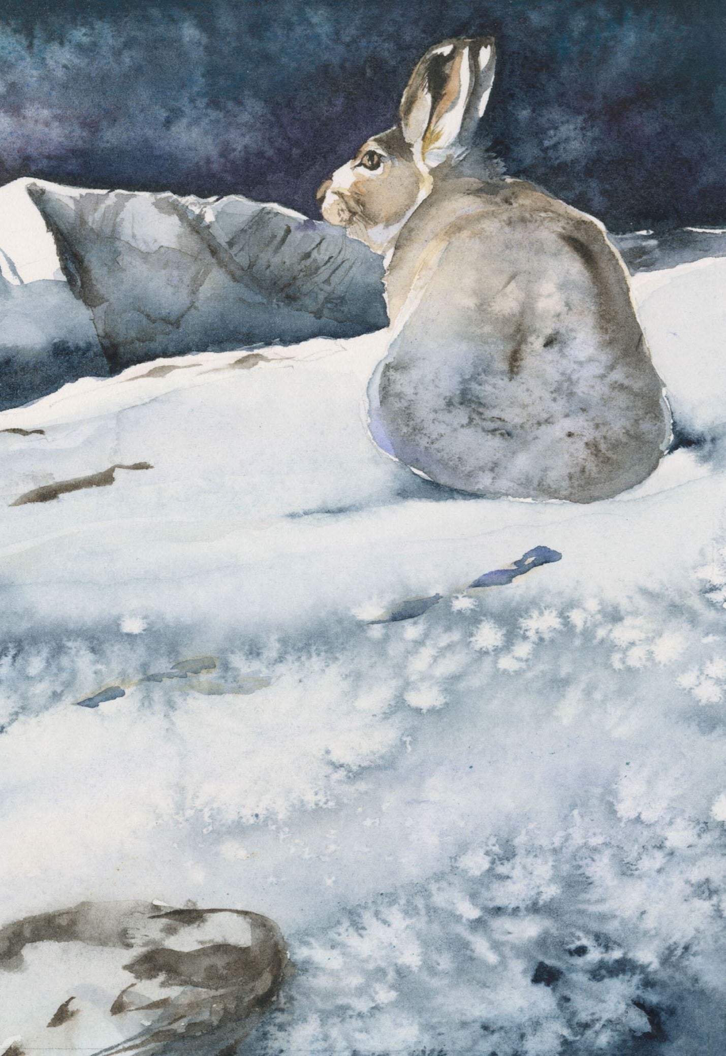 The Lost Spells: Jackie Morris watercolour illustration of a hare in a snowy winter landscape with dark blue night sky