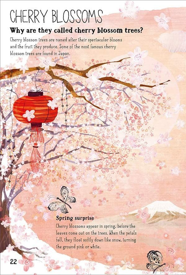 The Big Book of Blooms interior spread: illustrated cherry blossom chapter with Japanese lantern, butterflies, and