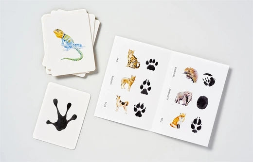 Match a Track Game cards and guide booklet showing animal tracks paired with lizard, cat, fox and hedgehog illustrations