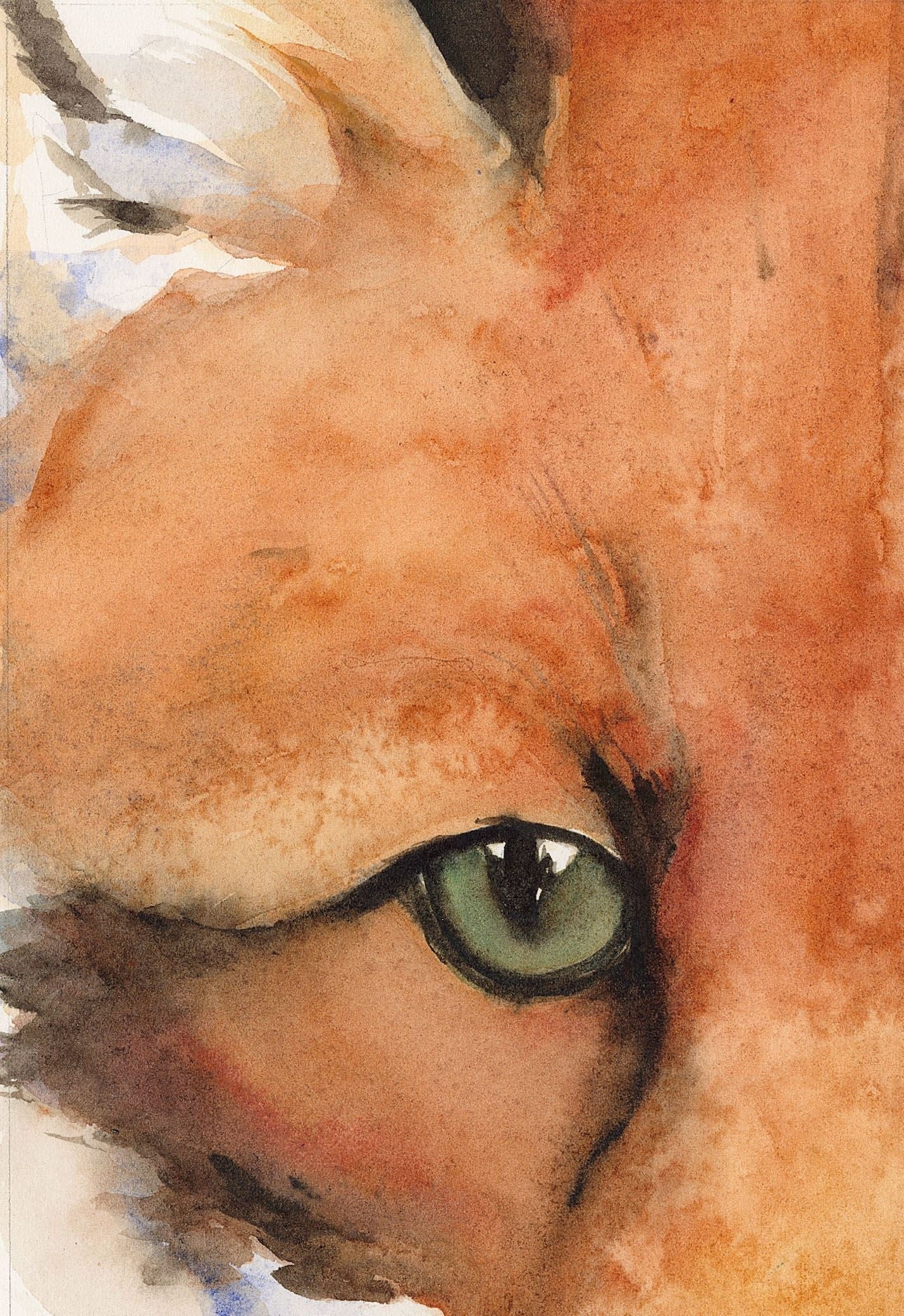 The Lost Spells: Jackie Morris watercolour detail of a wildcat's green eye in amber and burnt orange tones