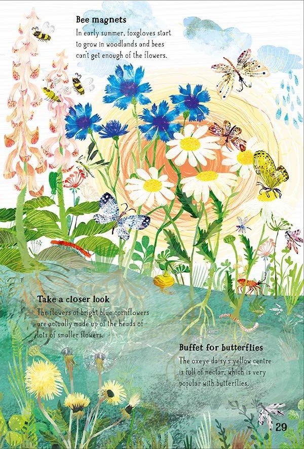 The Big Book of Blooms interior spread page 29 showing summer wildflowers, bees, and butterflies with educational text