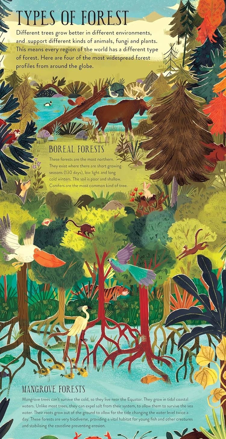 Build a Tree kit book spread showing illustrated Types of Forest pages with boreal and mangrove forest wildlife artwork
