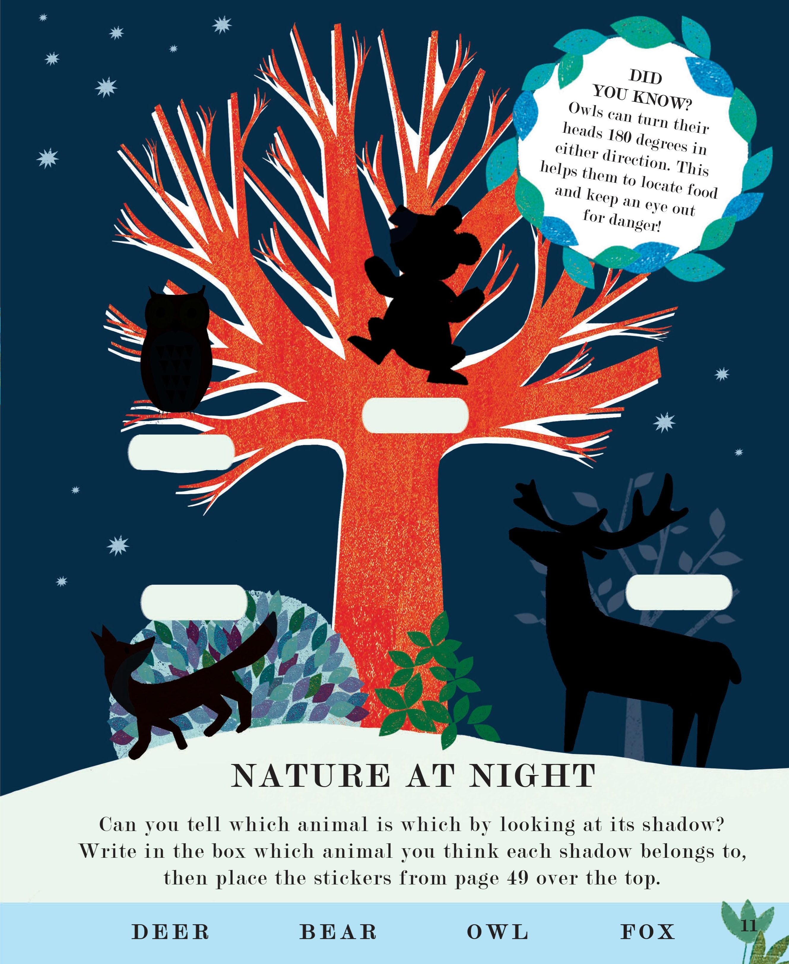 Tree: Seasons Come Seasons Go Activity Book