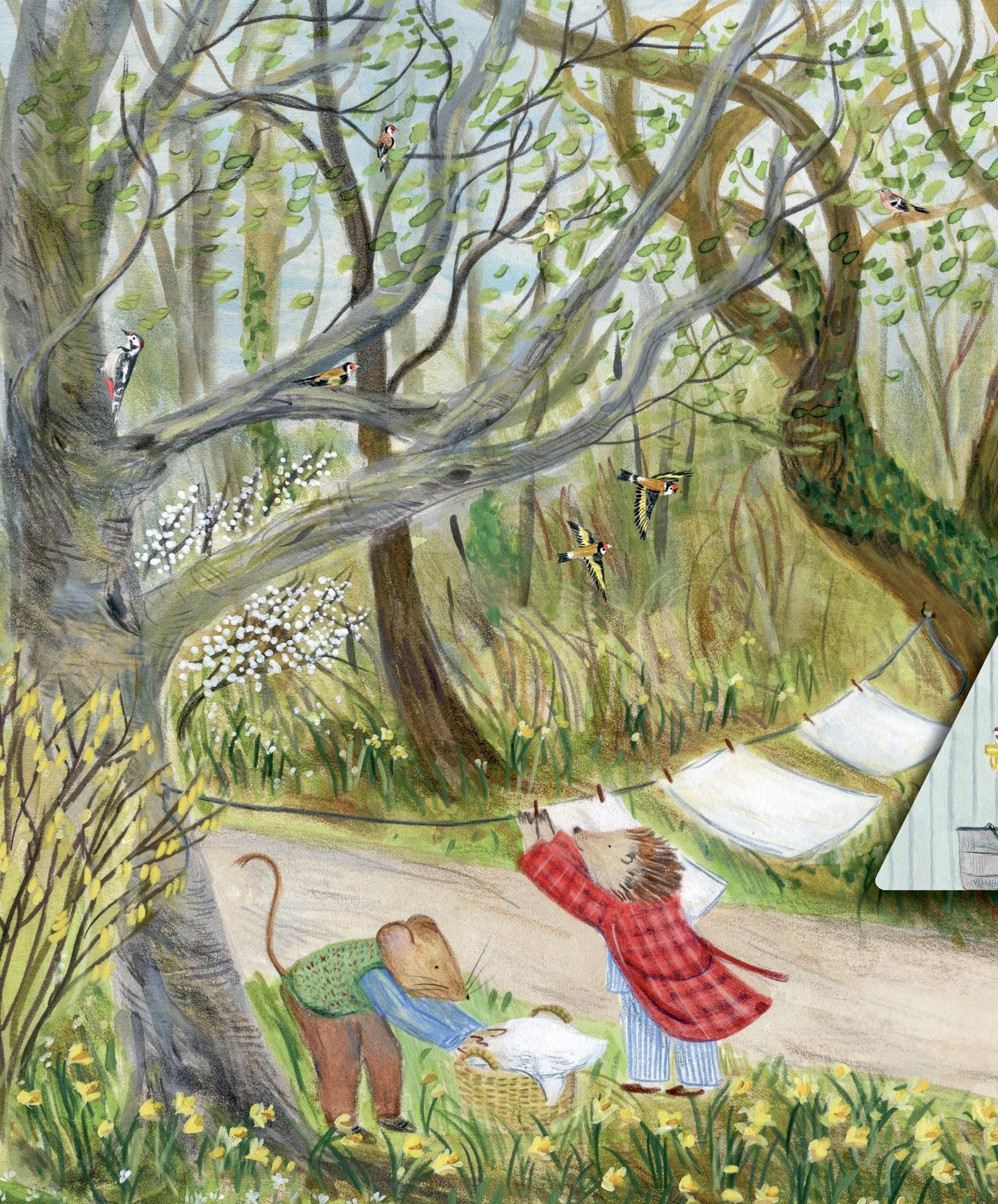 Mouse's Wood book interior: spring scene with mouse and hedgehog hanging laundry, daffodils and goldfinches in woodland