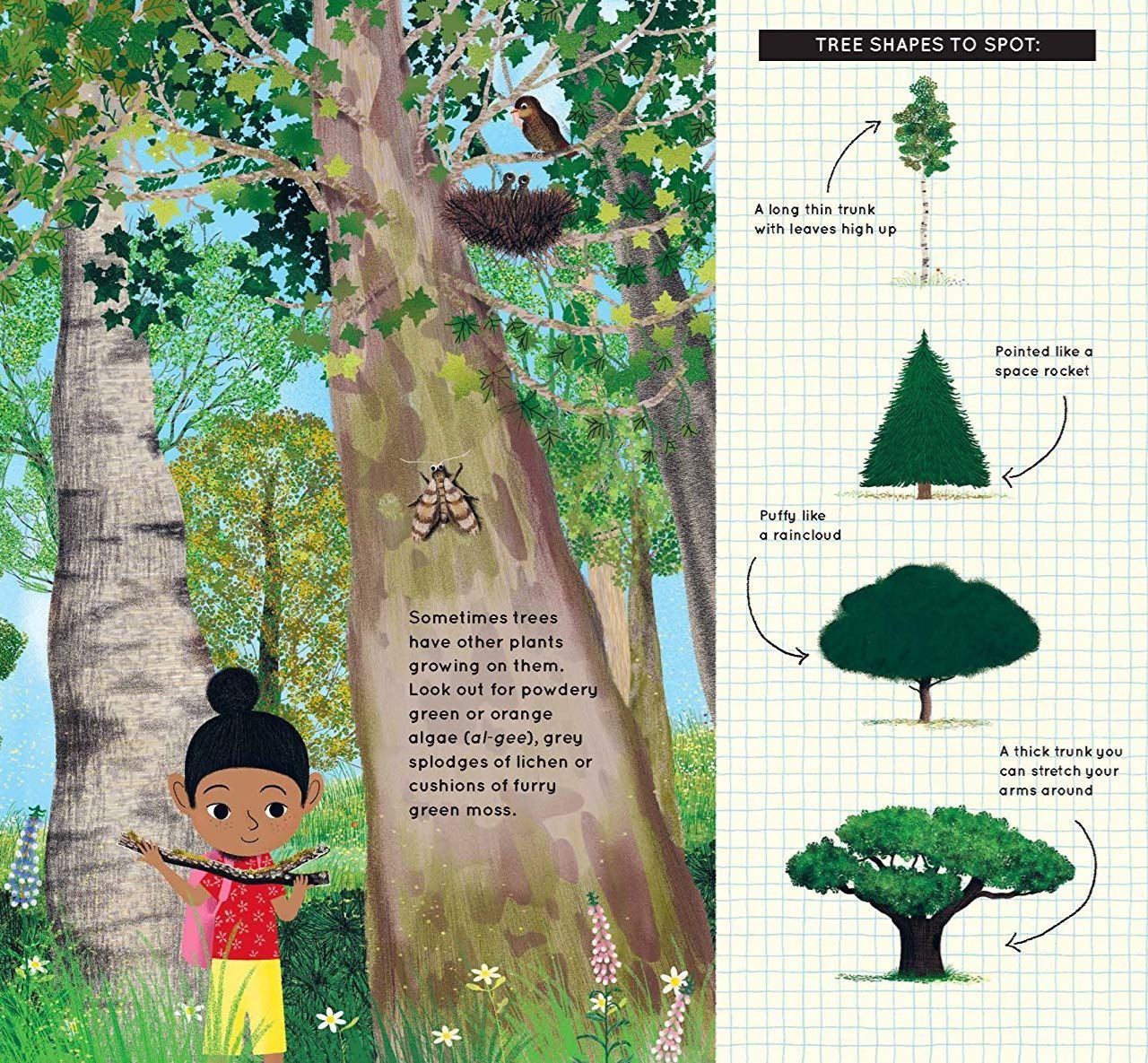 Look What I Found in the Woods interior spread showing forest illustration and Tree Shapes to Spot reference page
