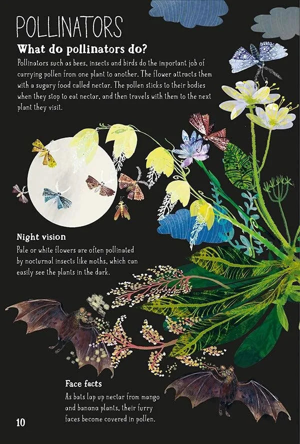 The Big Book of Blooms interior spread, page 10: Pollinators section with botanical illustrations of moths, butterflies,