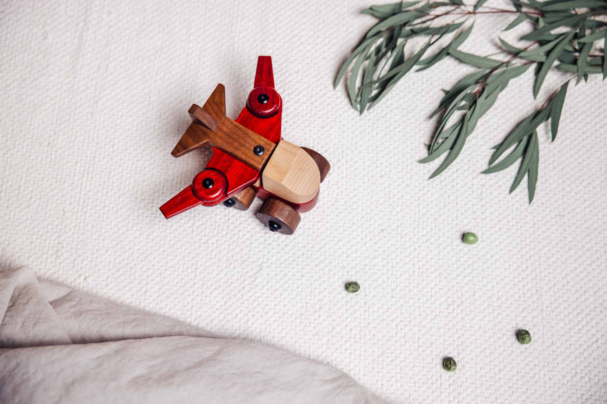 Walnut & Padauk Aeroplane