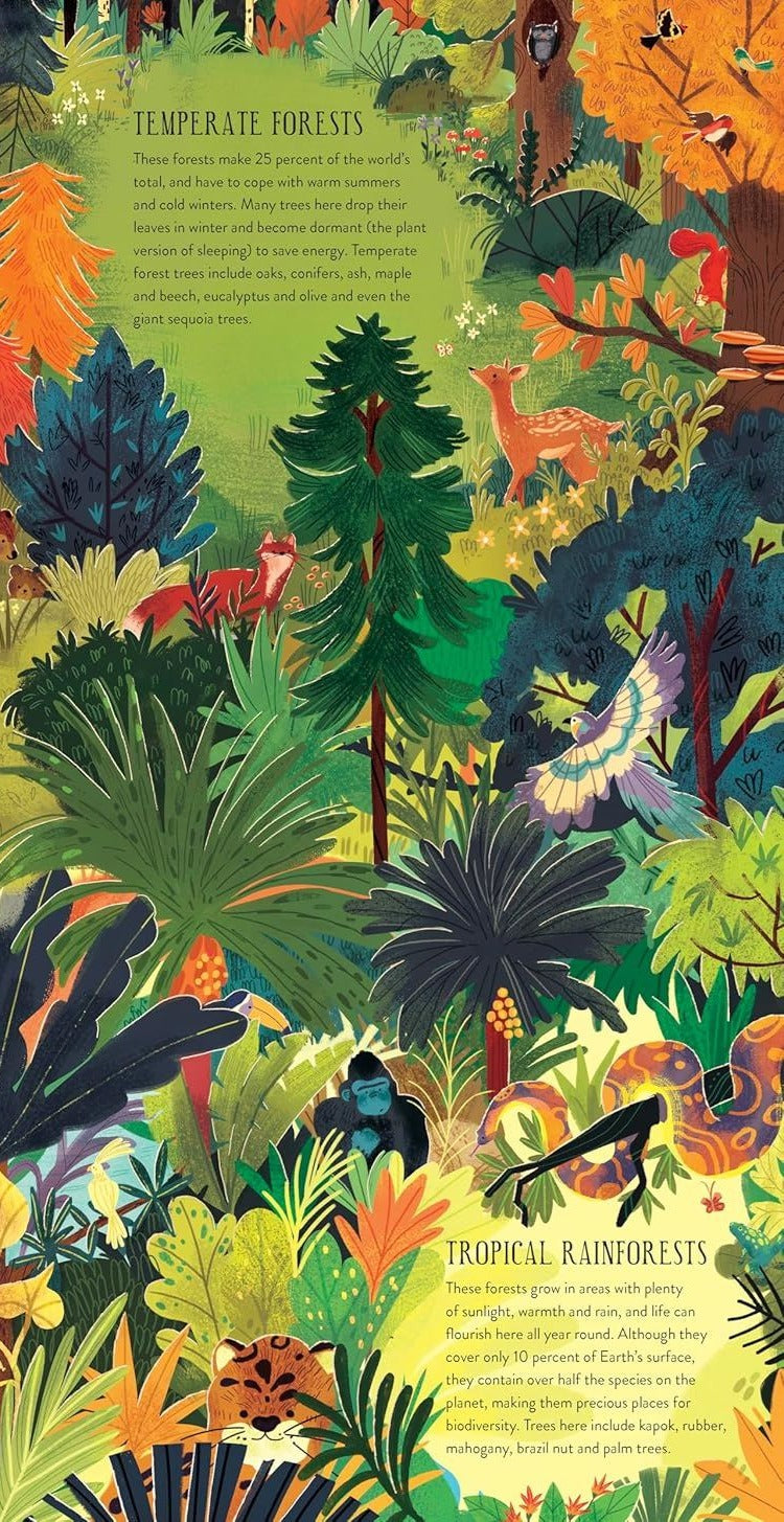 Build a Tree book spread showing illustrated temperate forest and tropical rainforest scenes with fox, gorilla, toucan and