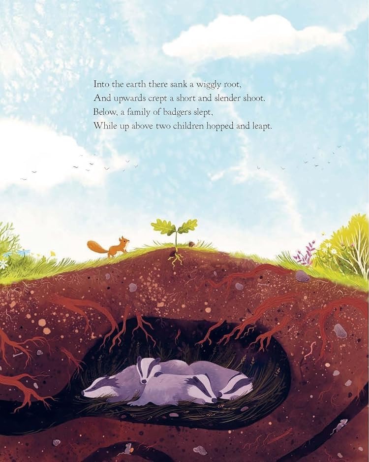 The Oak Tree book interior: illustrated cross-section showing badgers in underground sett and oak sapling sprouting above