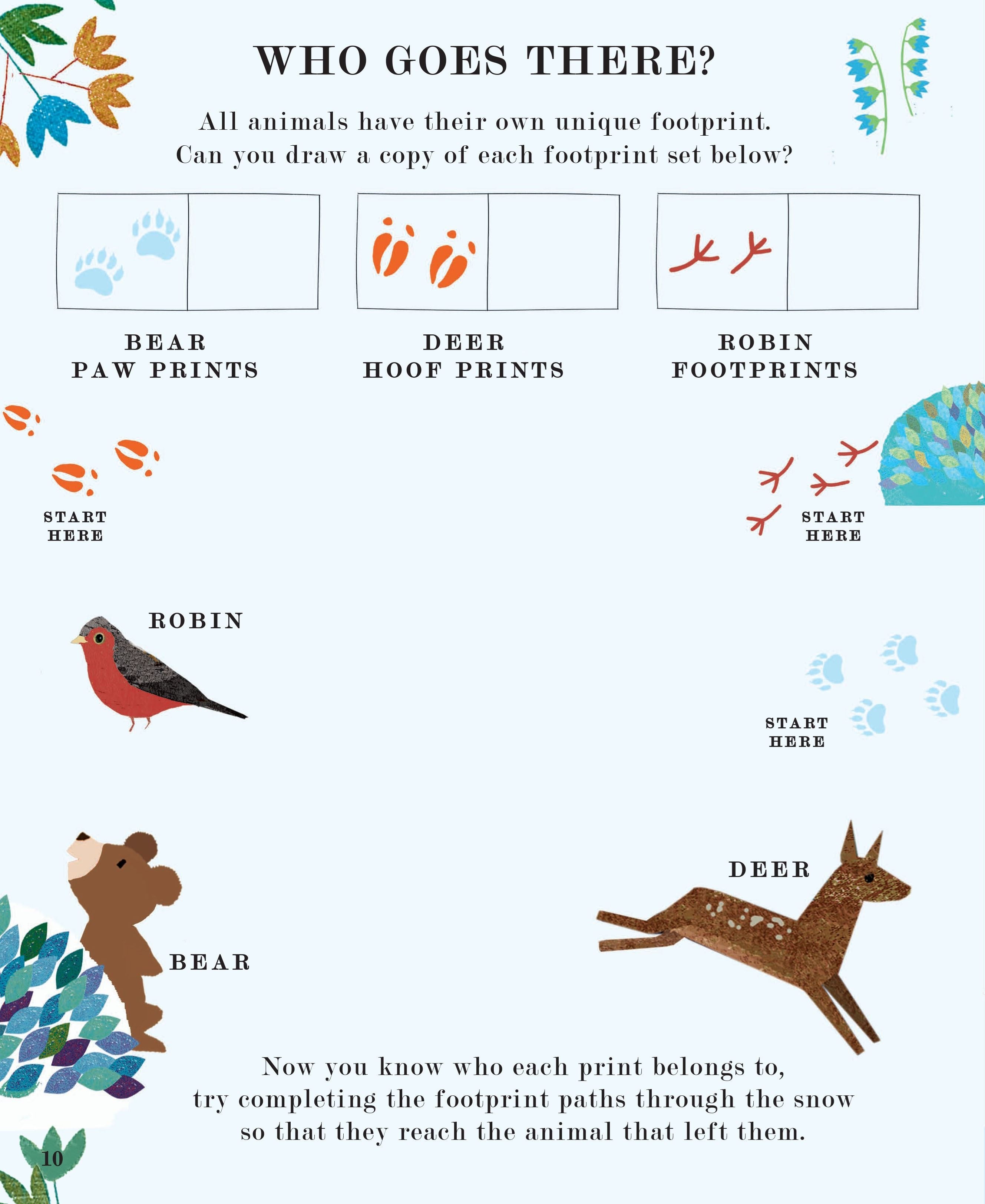 Tree: Seasons Come Seasons Go Activity Book