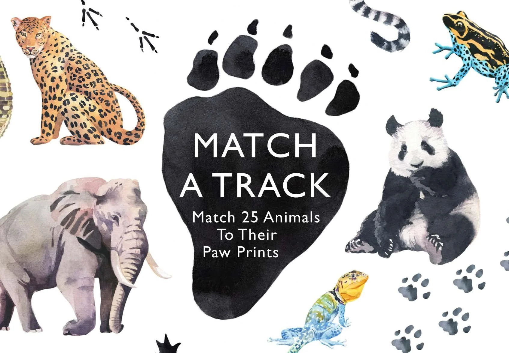 Match a Track Game packaging showing watercolour animals and track illustrations including leopard, elephant and panda
