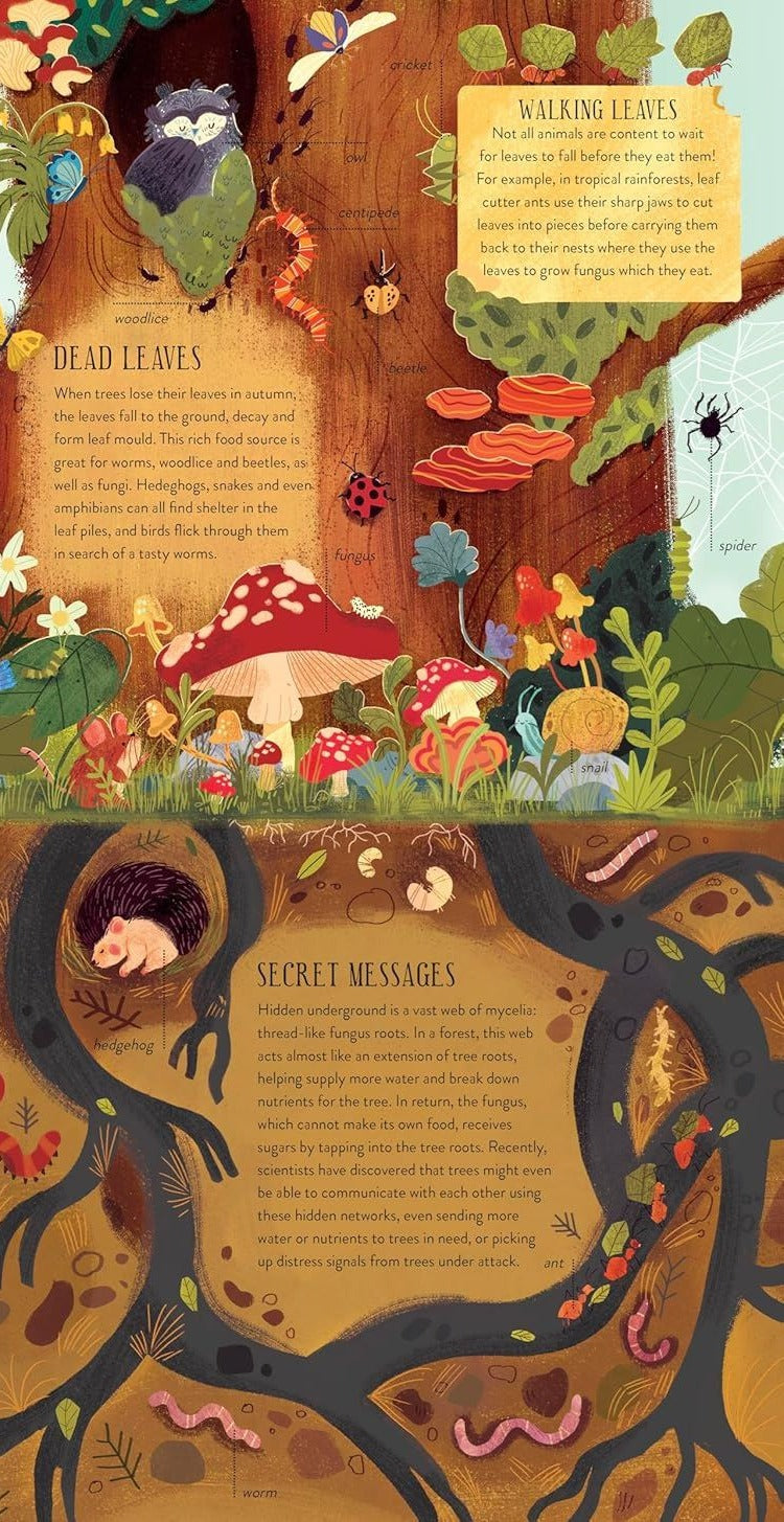 Build a Tree kit book spread showing illustrated forest ecosystem cross-section with fungi, roots, hedgehog, and leaf litter