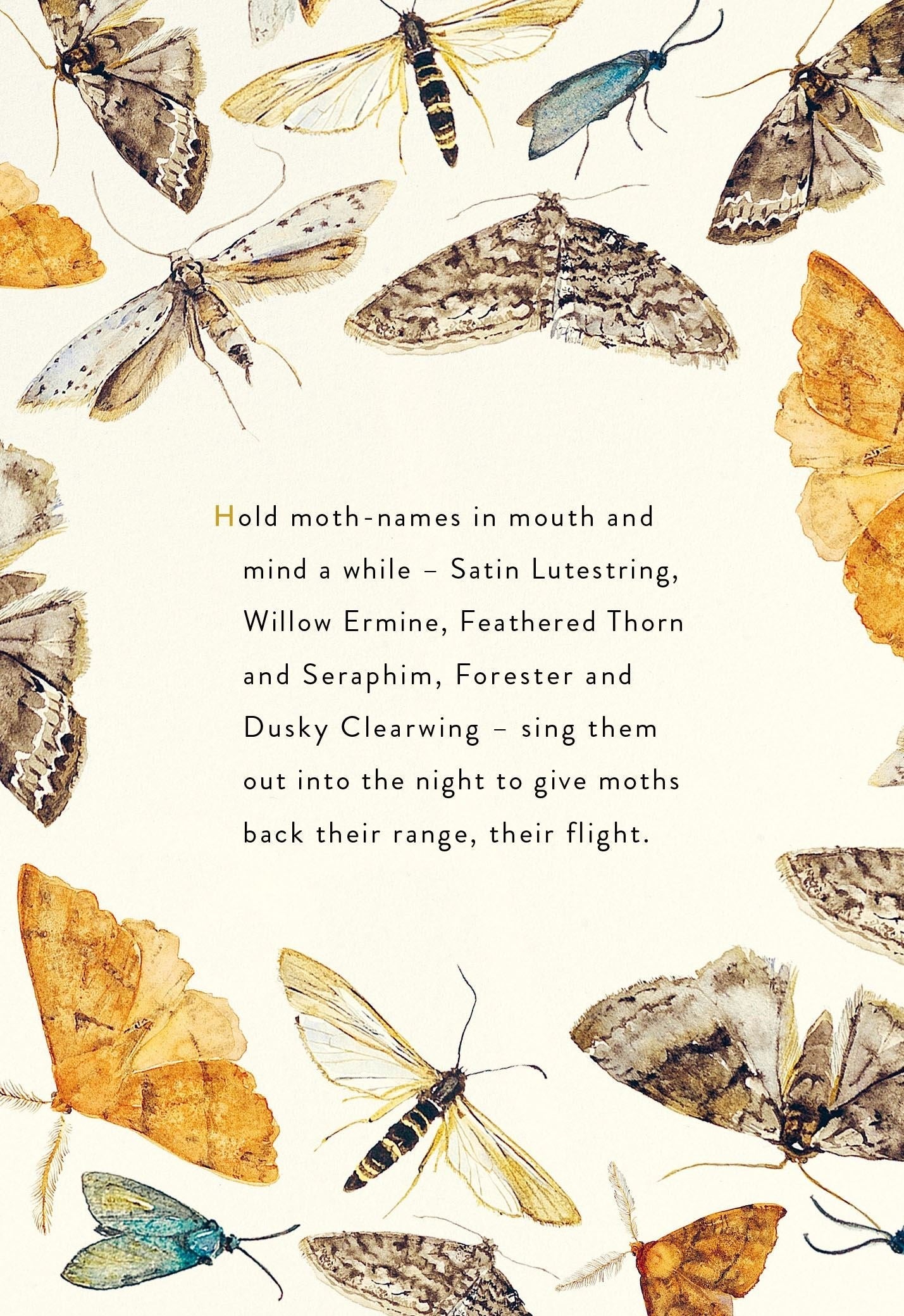 The Lost Spells interior page spread showing Robert Macfarlane moth poem with watercolour illustrations of British moth