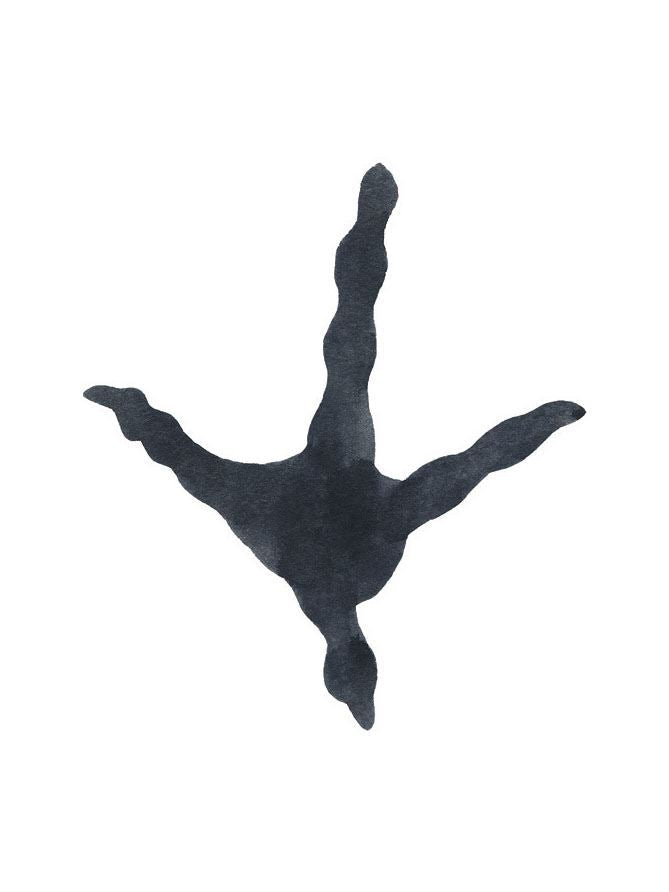 Match a Track Near You Game: watercolour illustration of a three-toed bird track, likely crow or heron, from the matching